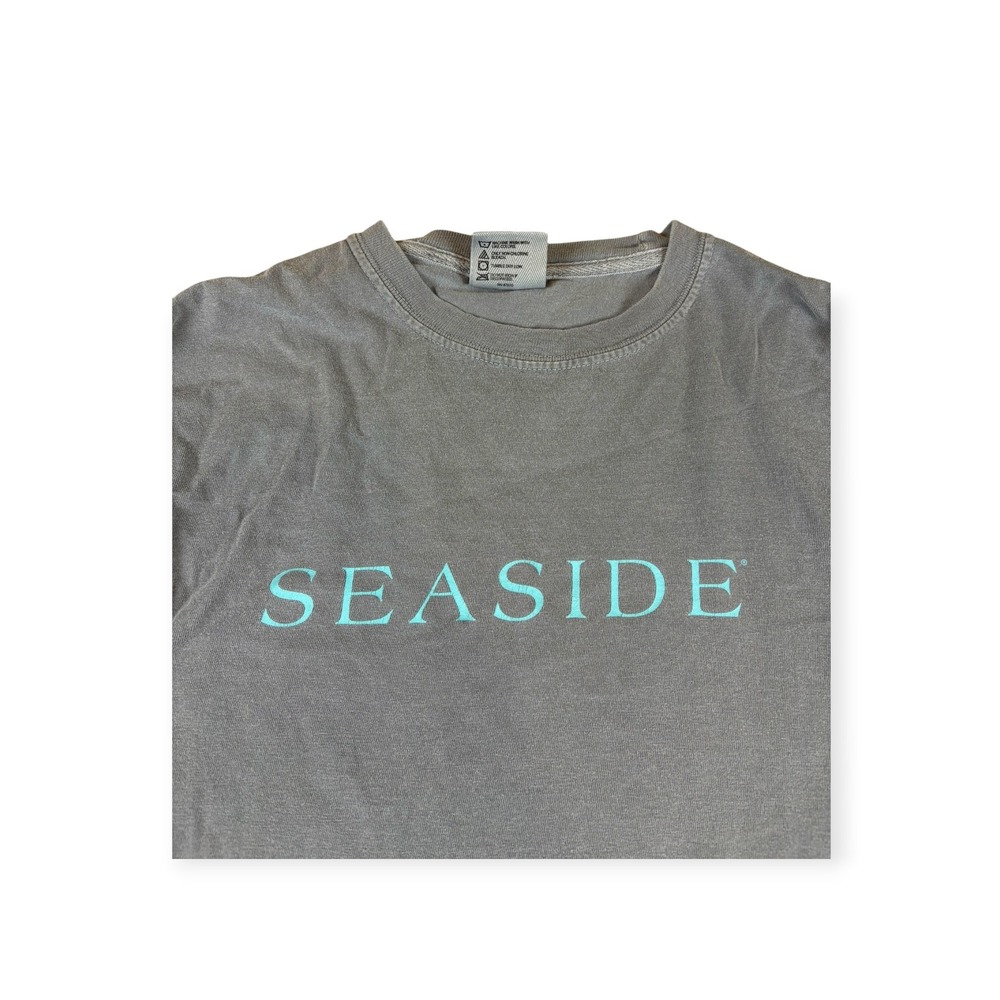 Seaside Florida beach Long Sleeve T-Shirt Mens Small Grey Graphic Tee